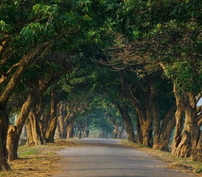 Hãy để tâm hồn mình được thả trôi theo dòng nước